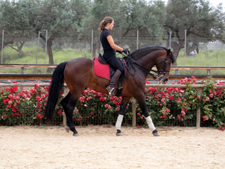 Spain-Southern Spain-Epona Rafael Soto Clinic